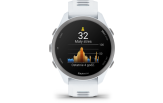 Spordikell Garmin Forerunner 170 Whitestone