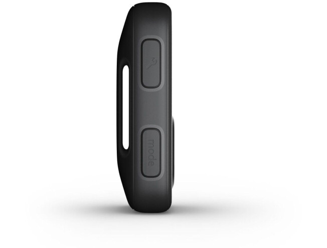 GoPro The Remote