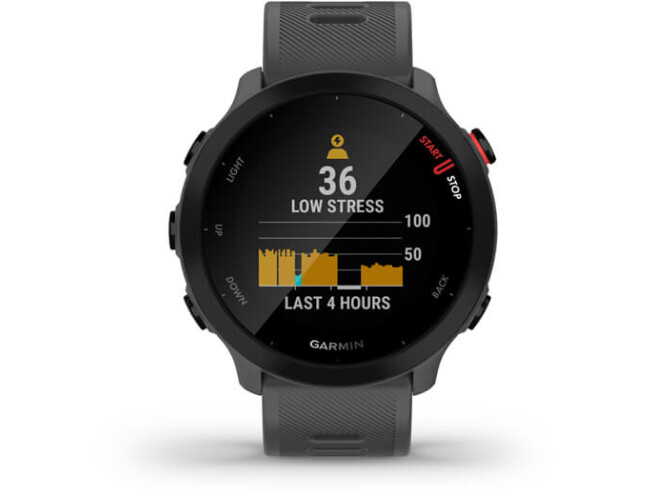 Spordikell Garmin Forerunner 55 - hall hall