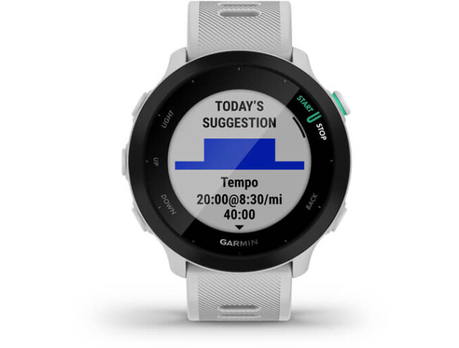 Spordikell Garmin Forerunner 55 - valge valge