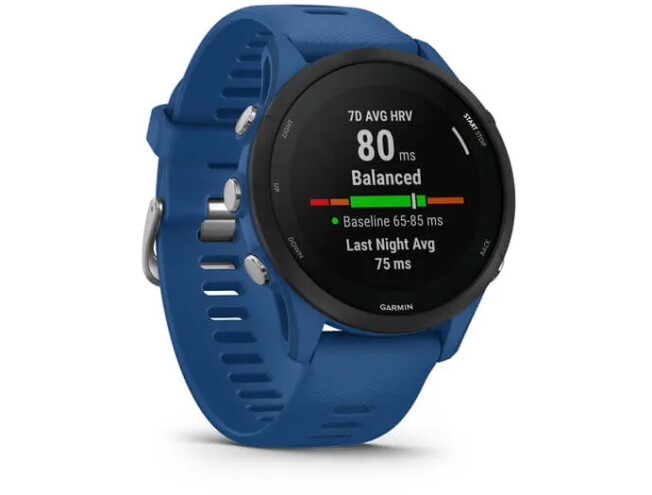 Spordikell Garmin Forerunner 255 Tidal Blue Tidal Blue