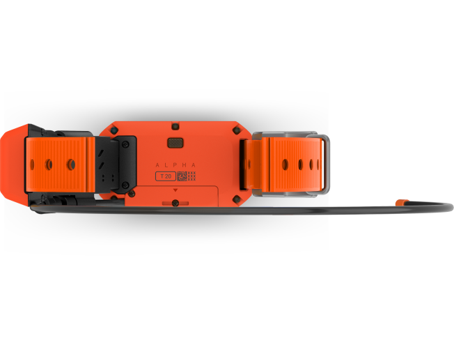 Alpha T20 koera kaelarihm