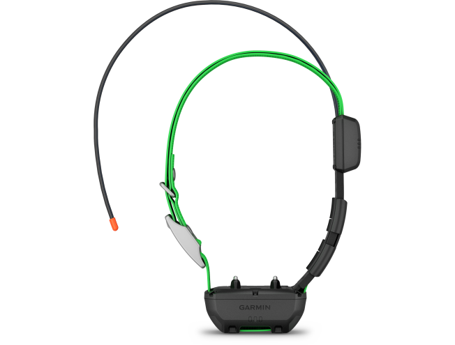 Alpha TT25 koera kaelarihm