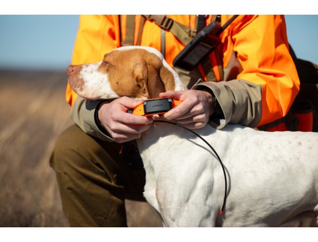 Koera j&auml;lgimisseade Alpha LTE